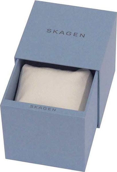 Skagen SKW6100